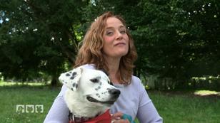 Moderatorin Kate Kitchenham erkundet das Speed Dating Event