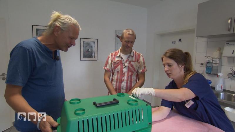 Frank Weber hilft Katzenbesitzer Marcel Wald