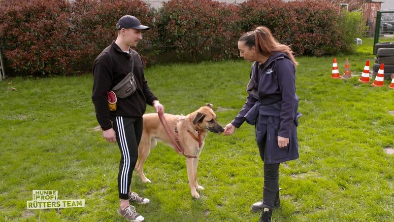 Ellen Marques trainiert mit Schäferhund Jay