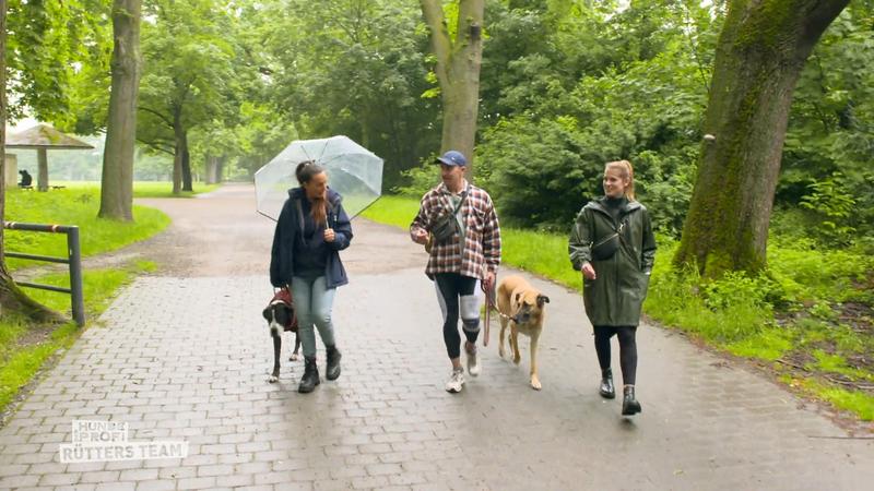Wie hat sich Schäferhund-Mix Jay verändert?