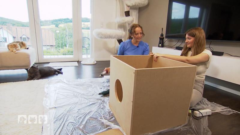 Kate Kitchenham und Sina Pollok bauen Katzenspielhaus