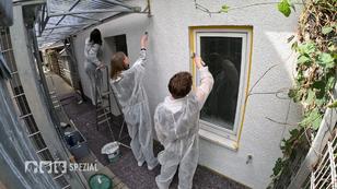 Helfer packen tatkräftig an