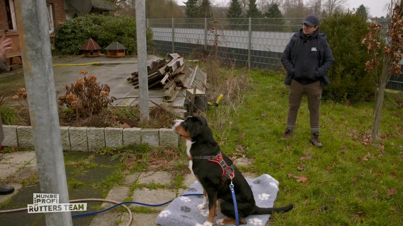 Hundetrainierin Melle besucht die freche Leonie