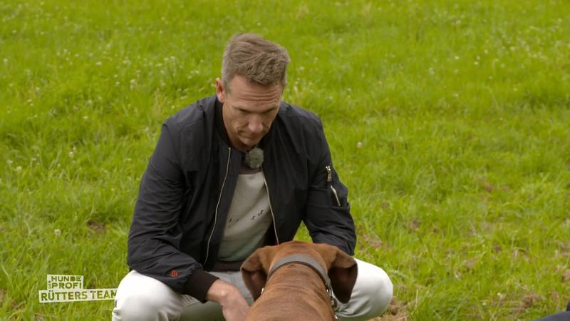 Stefan und Ivy nähern sich immer mehr an