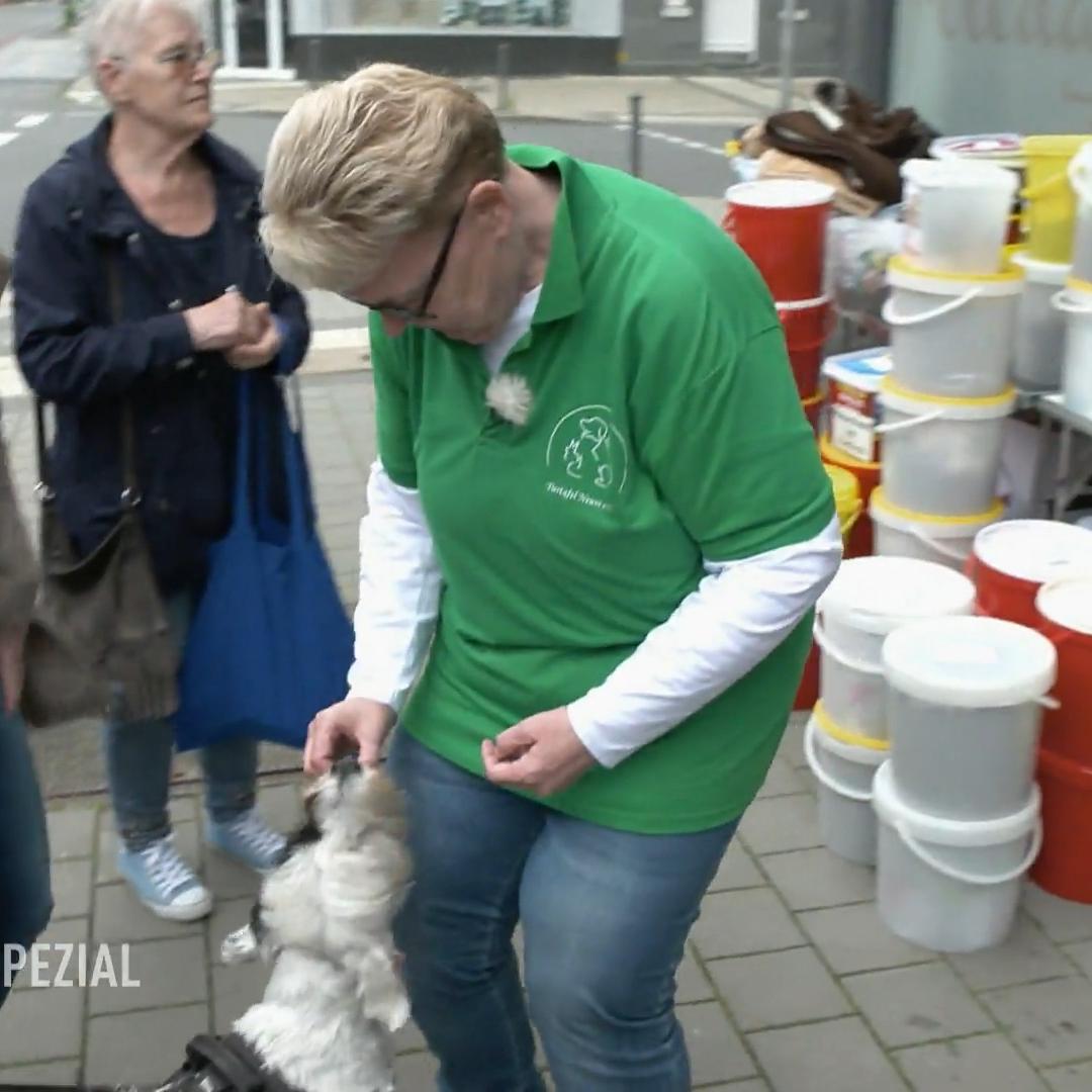 Große Hilfe für Halter und Vierbeiner