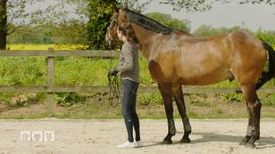 Lisa muss ruhig bleiben