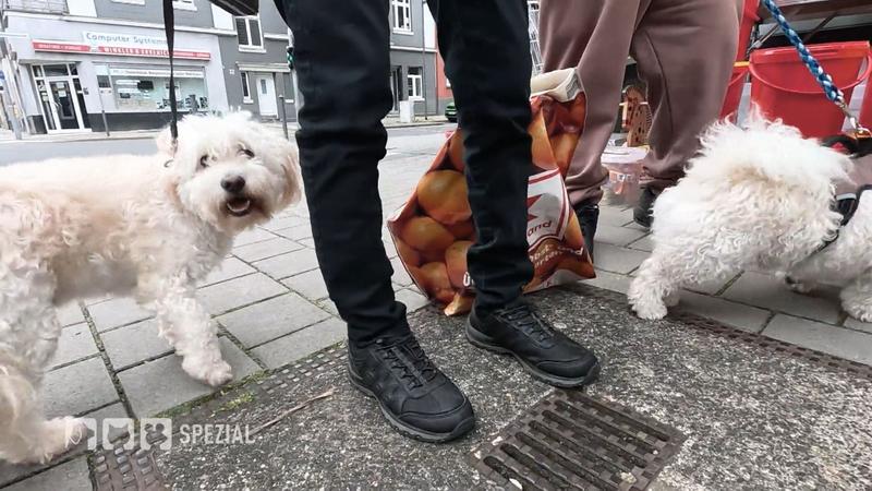 Tiere als mentale Unterstützung