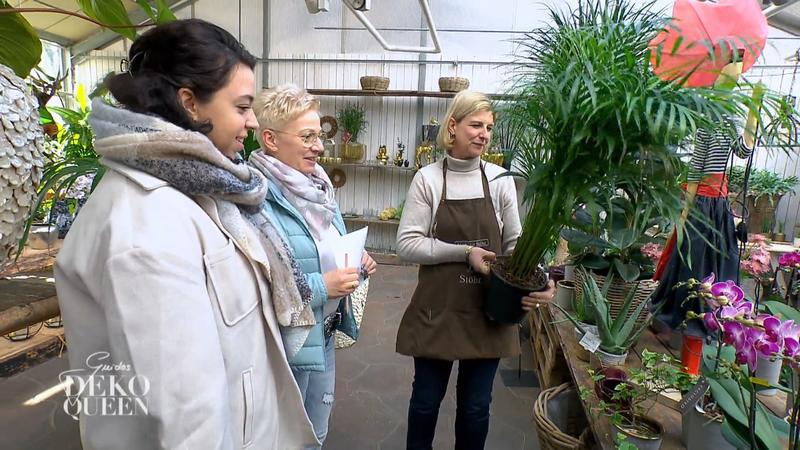 "Eine große grüne Pflanze" fürs Schlafzimmer