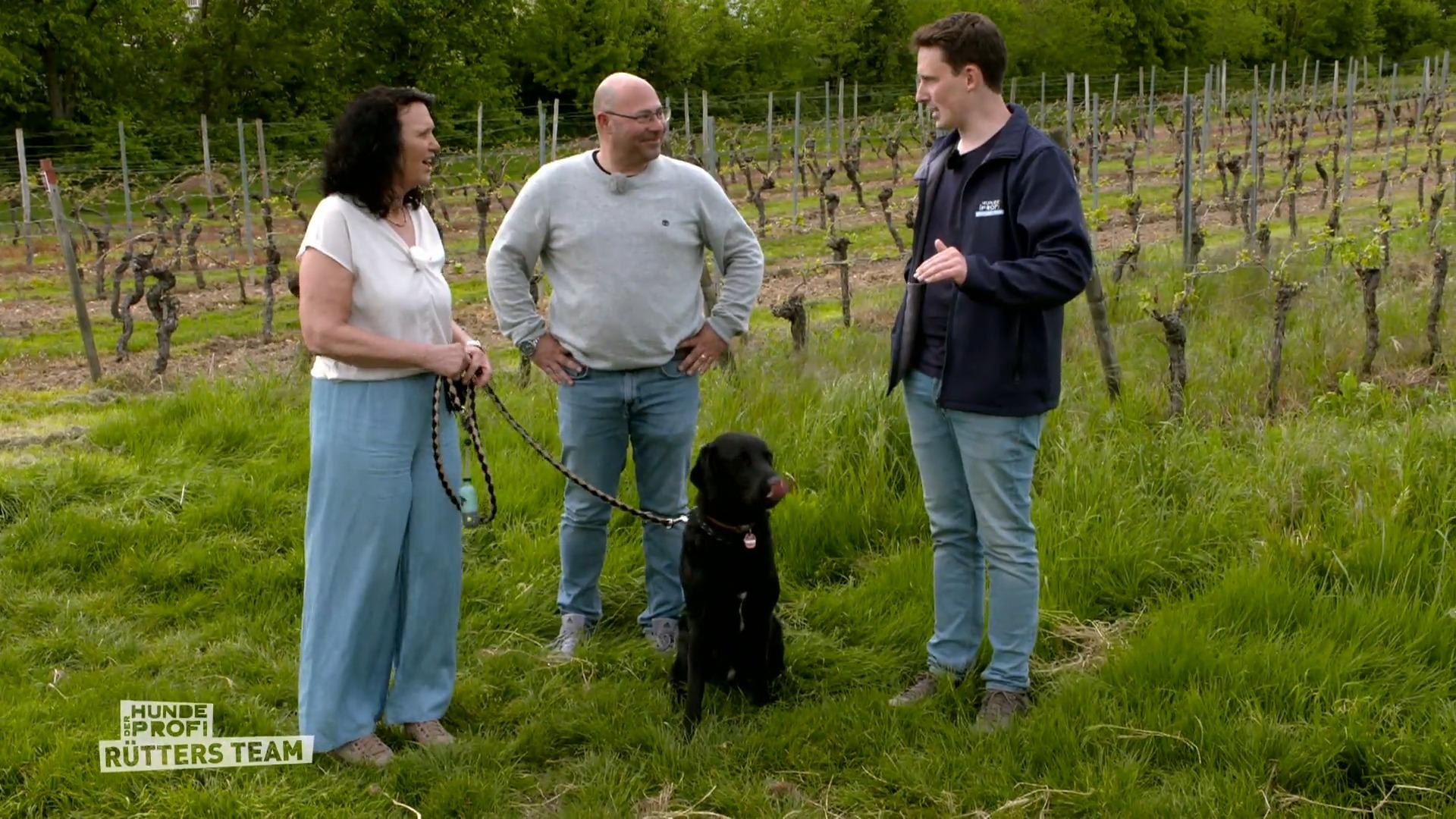 Hundeprofi Marcel Wunderlich gibt Nachhilfe