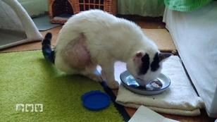 Maxi braucht dringend ein neues zu Hause