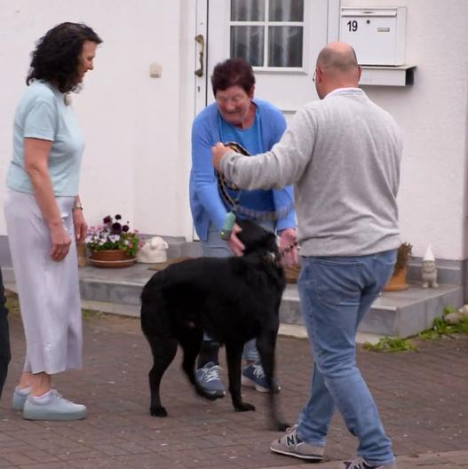 Vom Chaoten zum Musterschüler