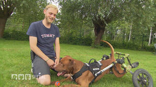 Tyson ist trotz Lähmung voller Energie