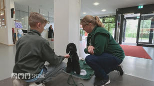 Schuleinsatz für die Helfer auf vier Pfoten