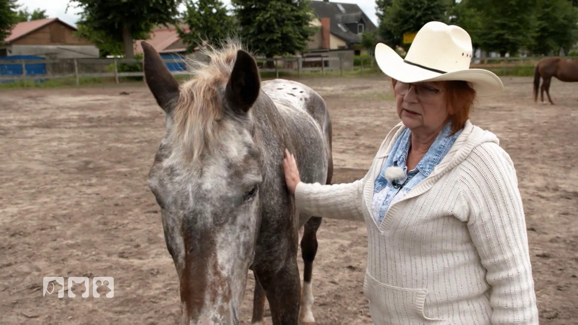 Muss Regina Hennig ihren Traum aufgeben?