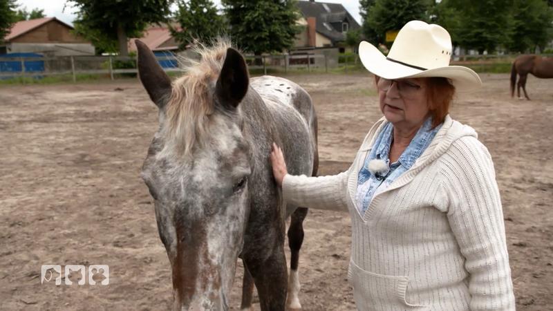 Muss Regina Hennig ihren Traum aufgeben?