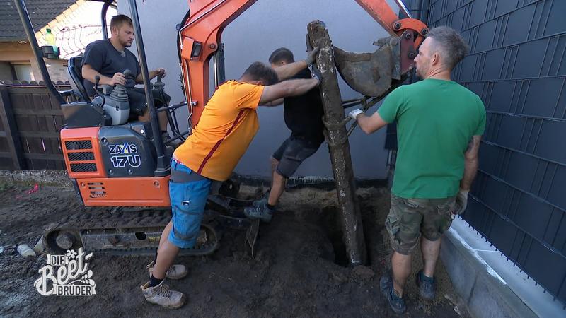 Team-Arbeit bei den Beet-Brüdern