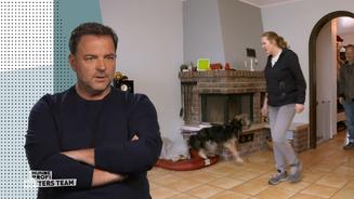 Eine Herausforderung mit vier Pfoten