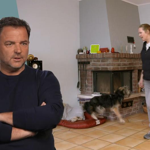 Hütehund Luke stellt seine Familie vor neue Herausforderungen