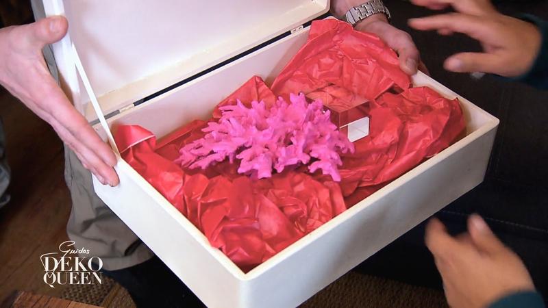 Deko-Boy Patrick überrascht mit pinker Koralle
