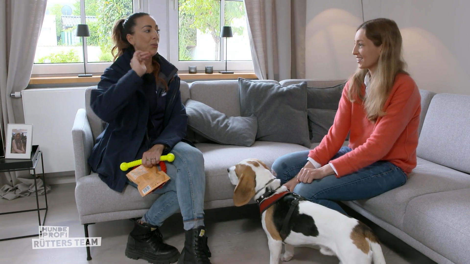 Emil ist ein süßer Hund, aber gut erzogen?