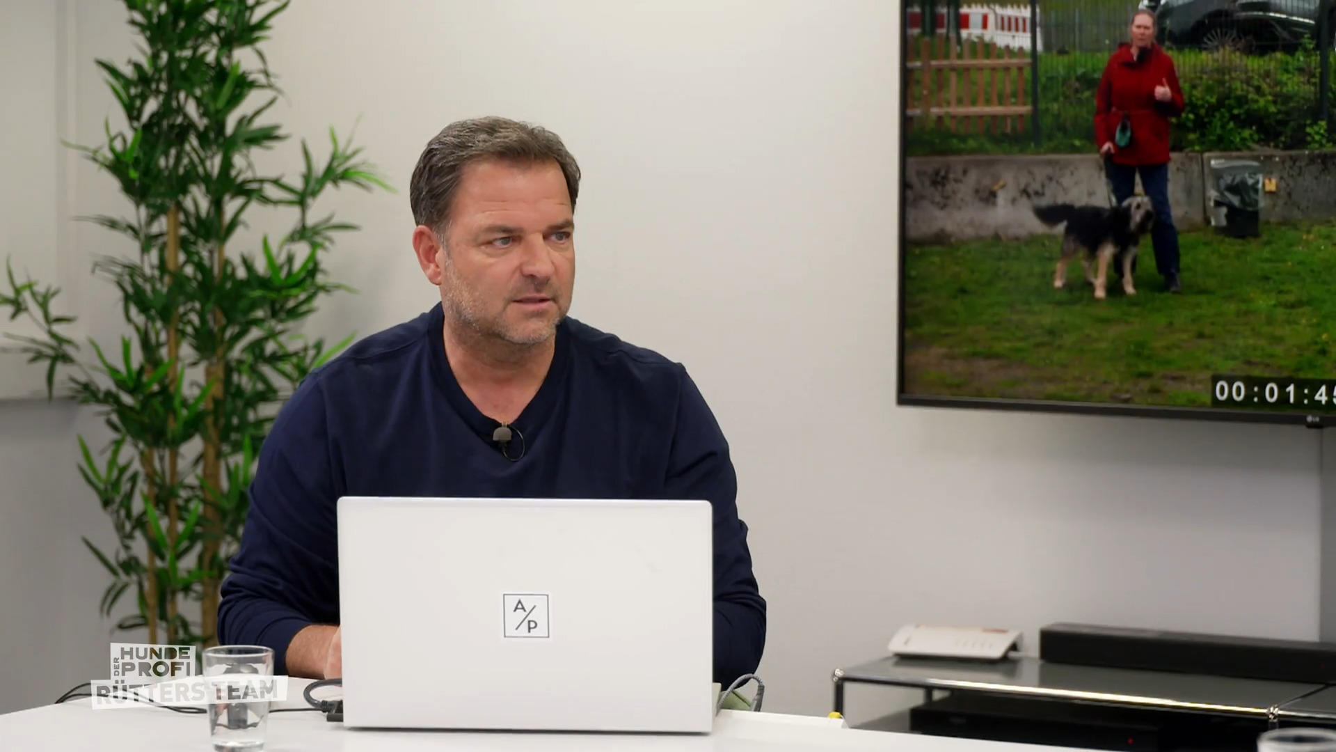 Martin Rütter sieht eine krasse Entwicklungsstörung