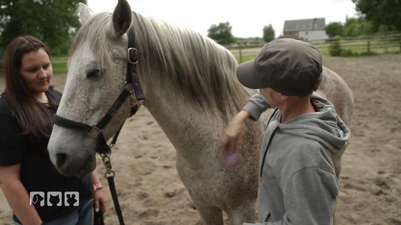 Wallach Snoopie braucht ein Coaching