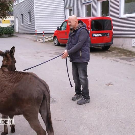 Schwieriges Unterfangen für Tierschützer Detlev Steves