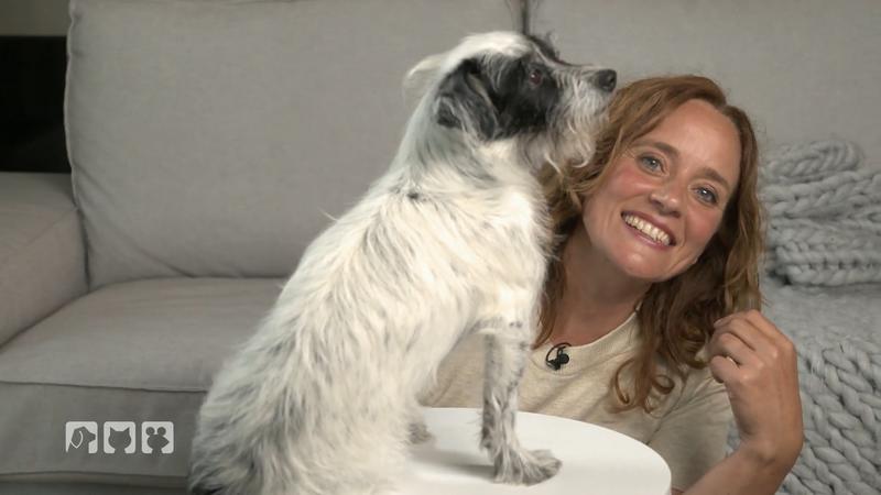 Kate Kitchenham geht dem Phänomen auf den Grund