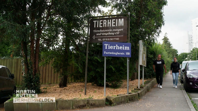 Martin Rütter besucht das älteste Tierheim Deutschlands