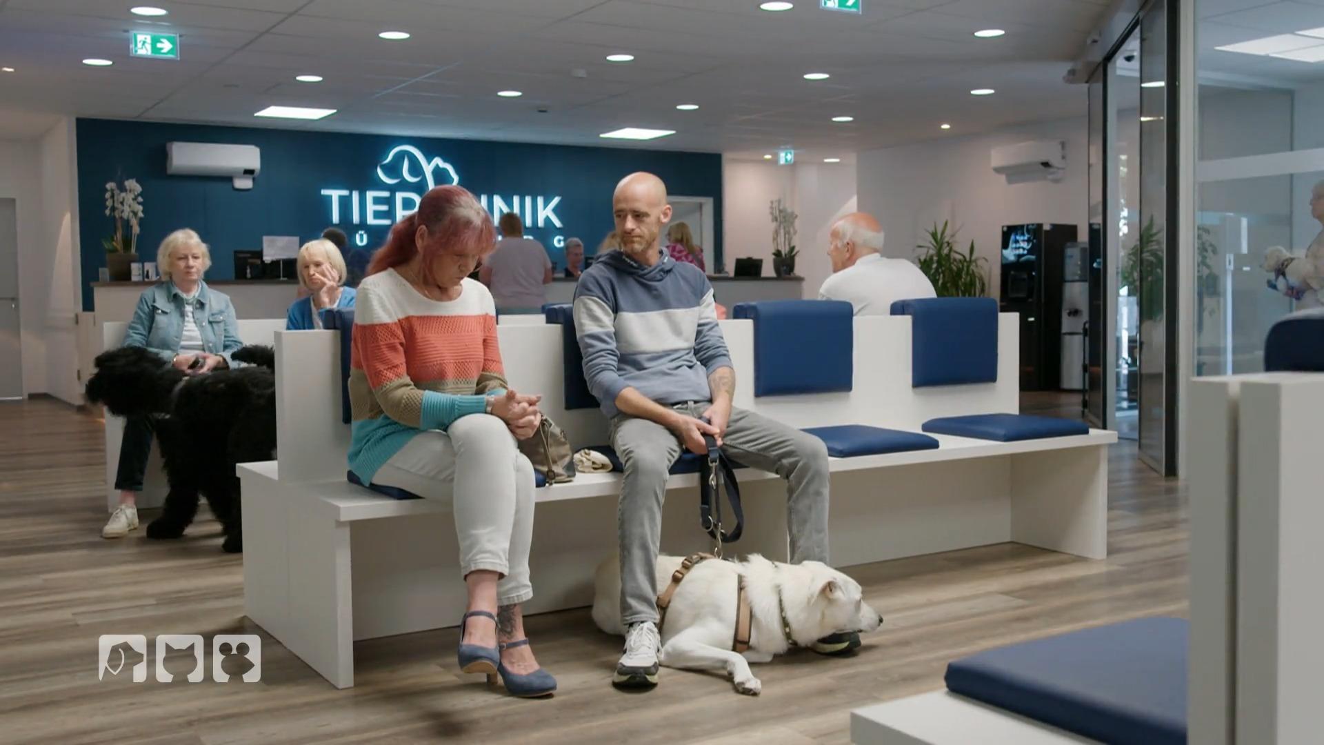 Rüde Sam in der neuen Tierklinik Lüneburg