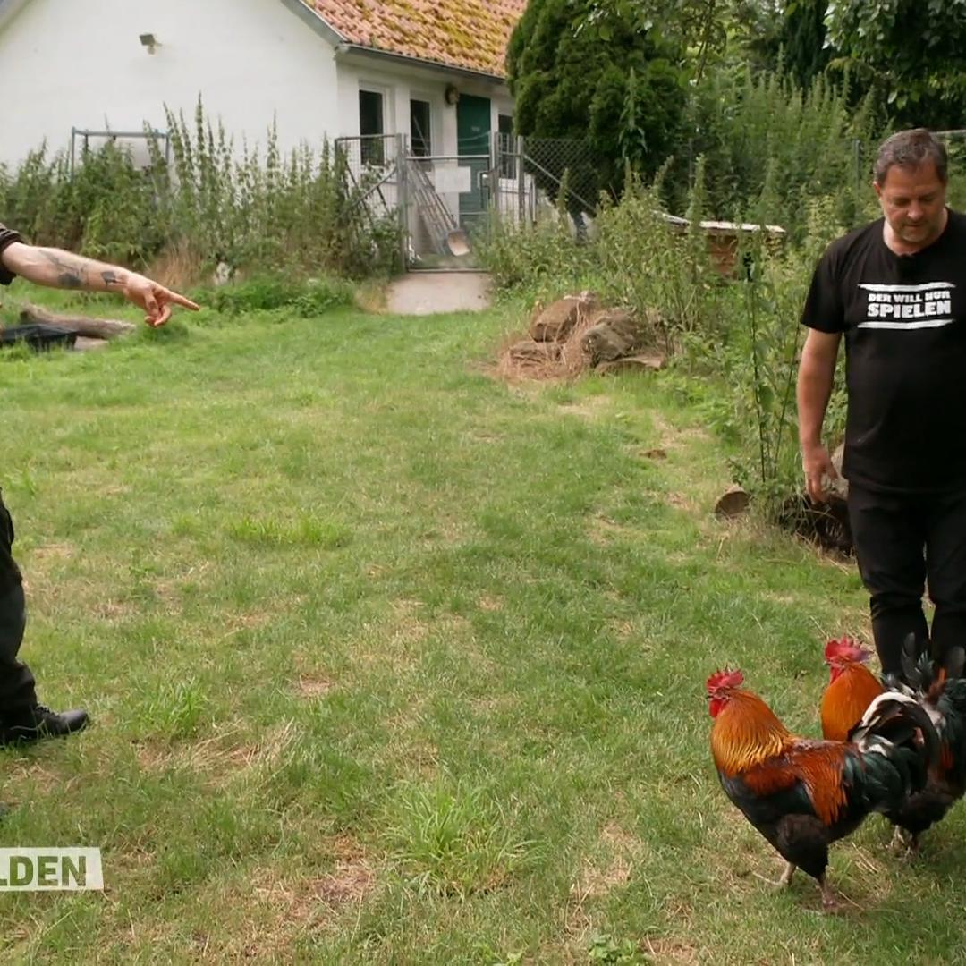 Martin Rütter hat Respekt vorm Federvieh