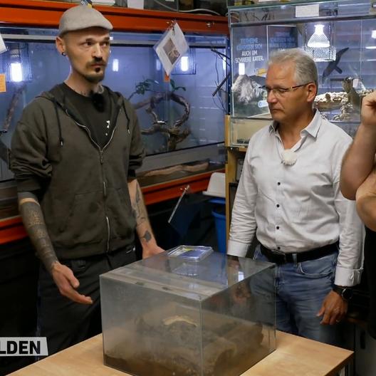 Martin Rütter traut im Exotenhaus seinen Ohren nicht