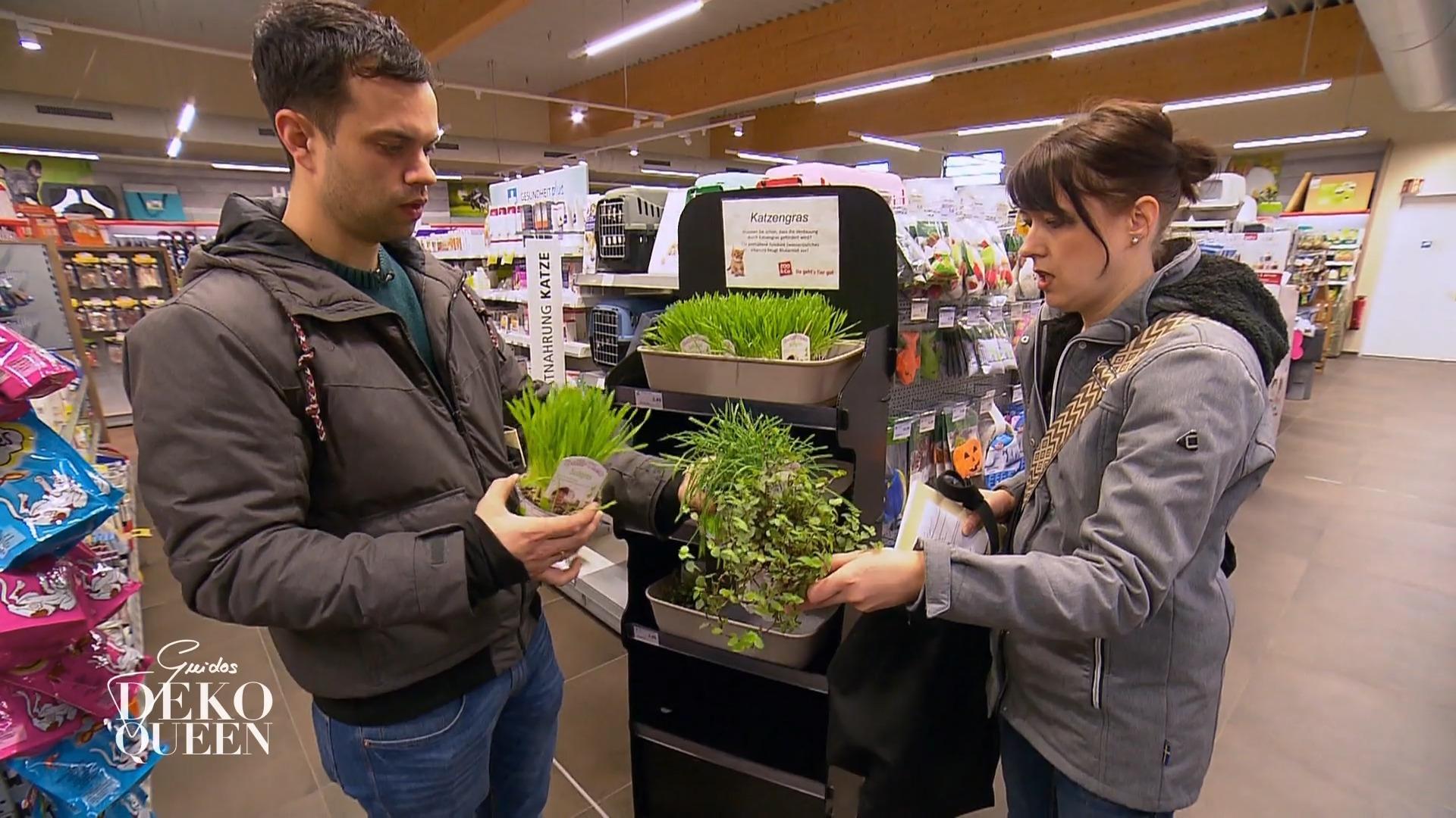 Nicole plant ein wildes Abenteuer-Zimmer