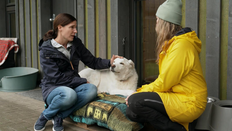 Dr. Anne Hettling ist Tierärztin im Sorf Sentana