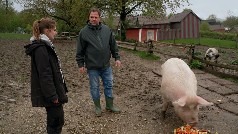 In Bielefeld gibt es auch einige Schweine