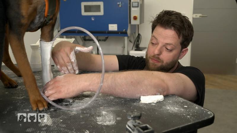 Orthese und Wassertraining für Leia