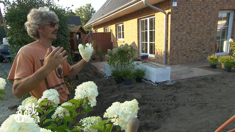 Die Beet-Brüder beginnen mit der Bepflanzung