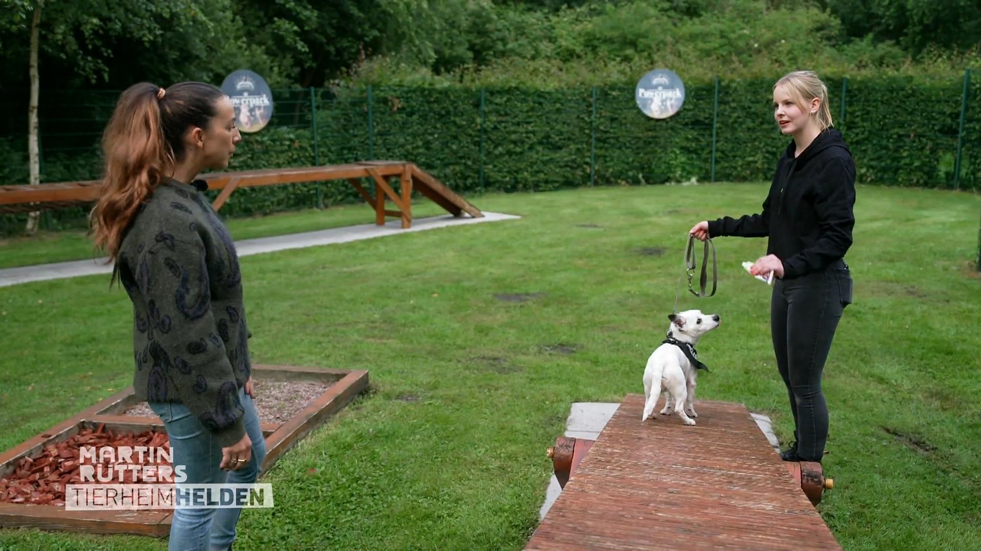 Ellen Marquez trifft auf Jack Russel Olaf