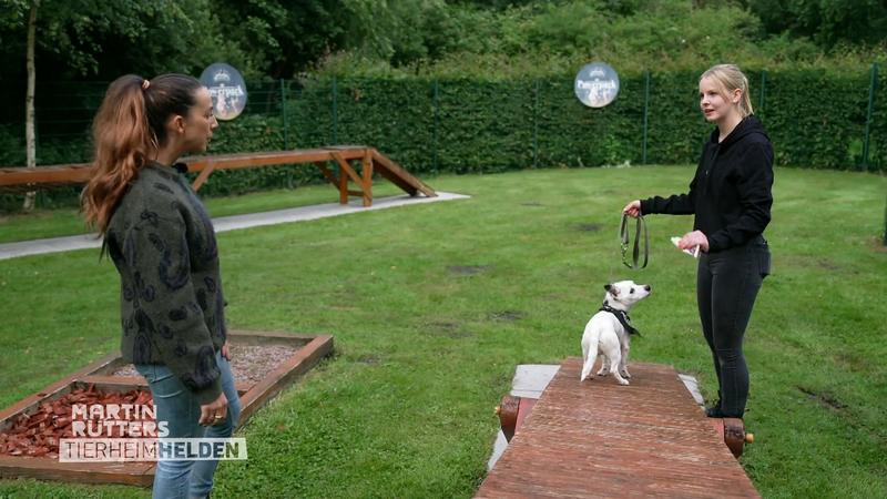 Ellen Marquez trifft auf Jack Russel Olaf