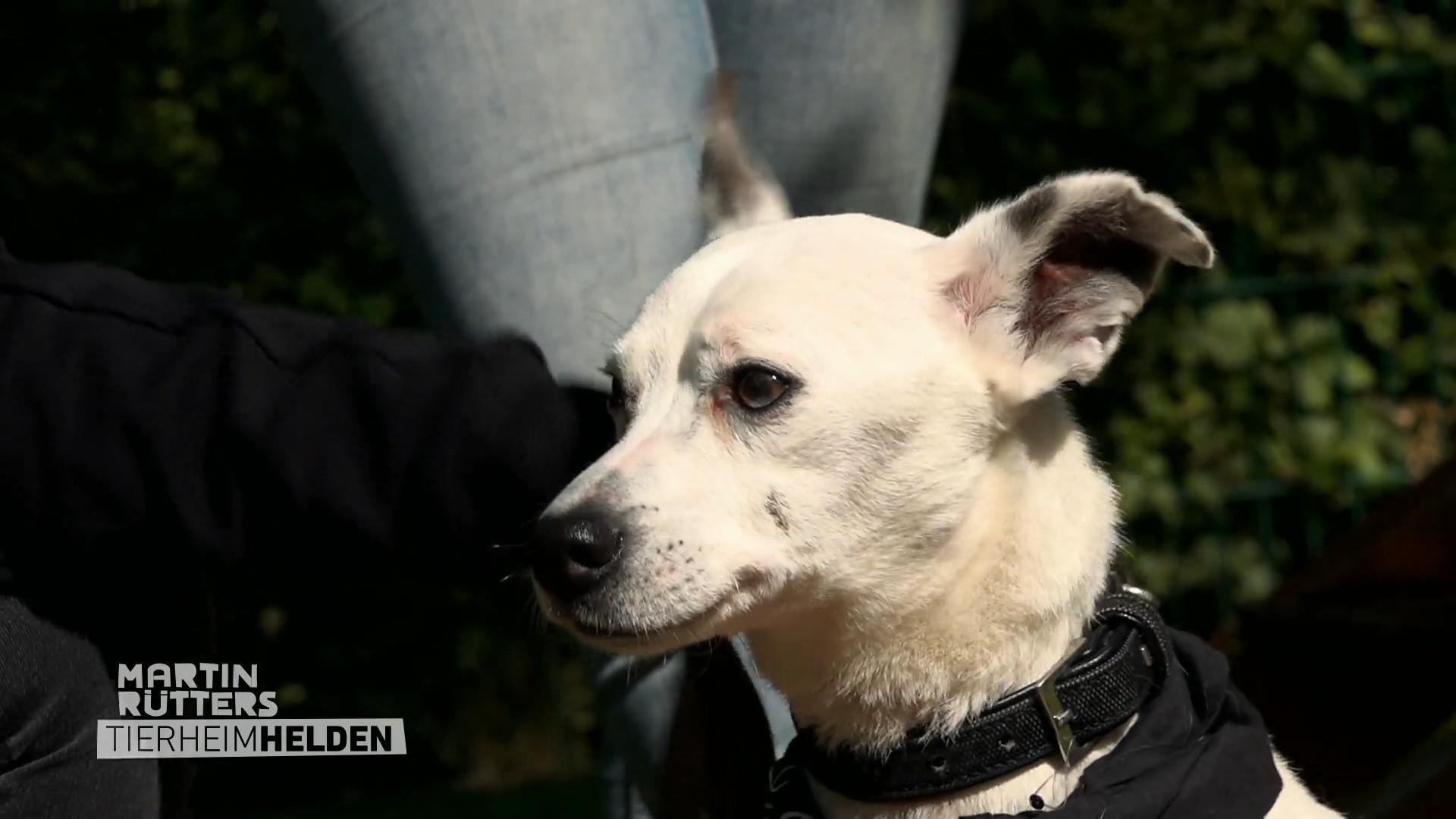 Jaymee kümmert sich mit Herz um Olaf