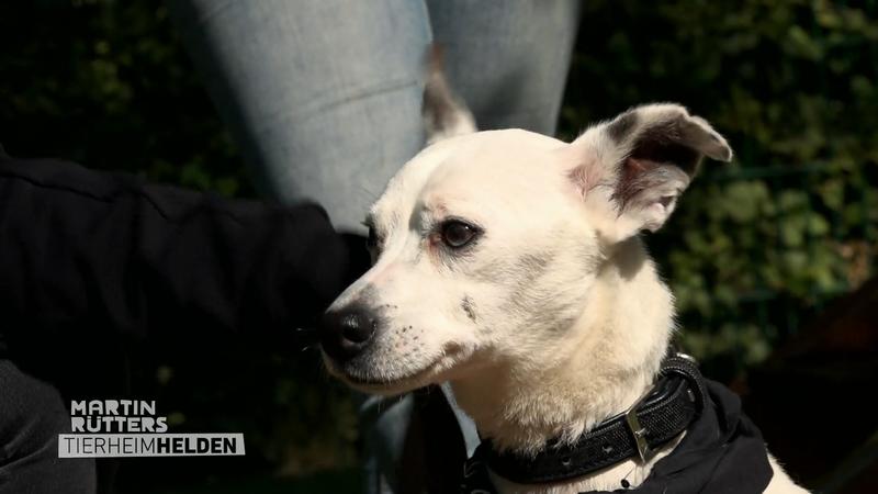 Jaymee kümmert sich mit Herz um Olaf