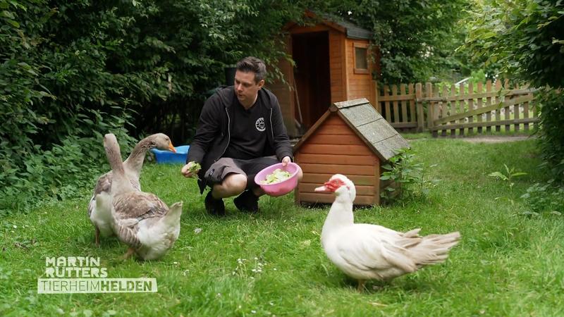 Benjamin ist für seine kleinen Schützlinge da