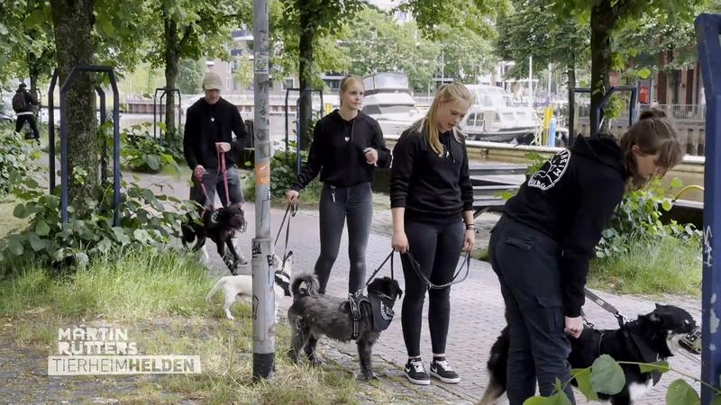 Tierheimmitarbeiter samt Hunden auf Tour