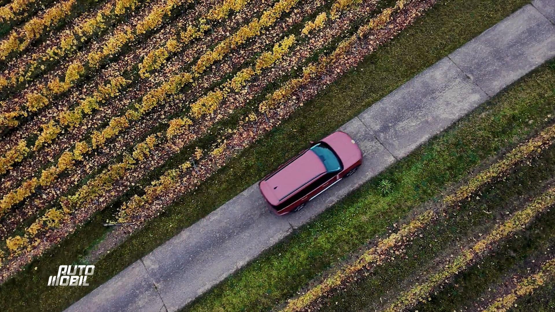 Ist DAS das perfekte Familienauto?