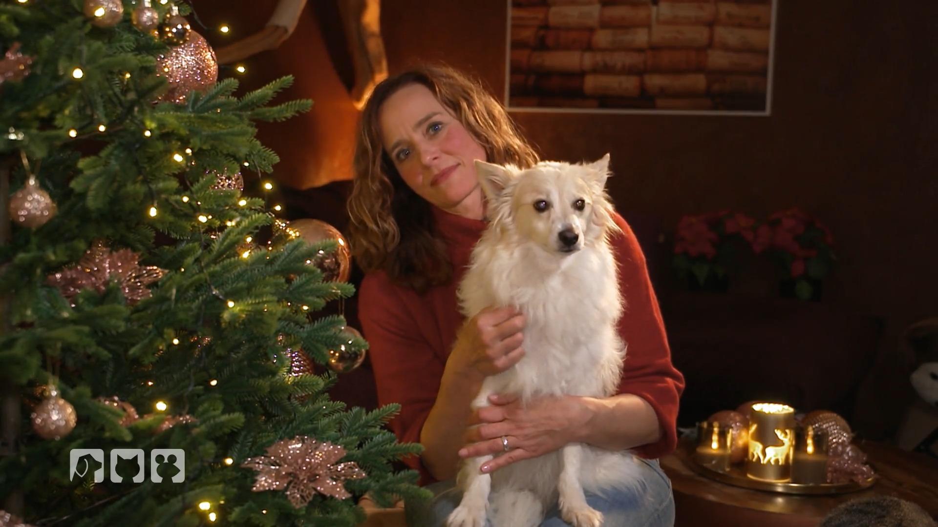 Was man an Weihnachten beachten sollte