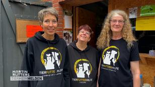 Ehrenamtliche Mitarbeiter sorgen für bedürftige Tiere