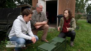 So fängt man Streunerkatzen ein