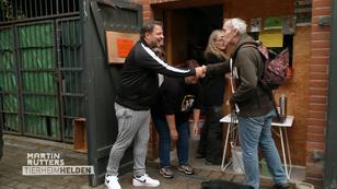 Reger Andrang bei der Tierfutterhilfe Lüneburg