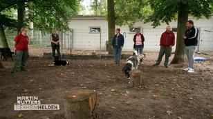 Hundespielplatz im Tierheim Lüneburg