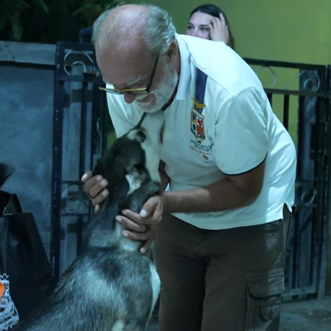 Wiedersehen mit seinem Hund